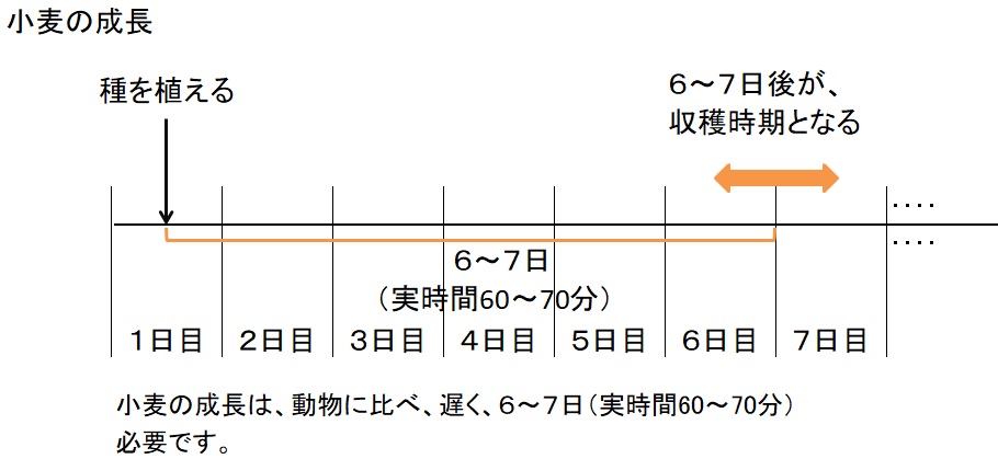 ４ 小麦増産と動物の繁殖について マインクラフト 初心者の館