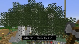 補足３ リードの作り方と使い方 マインクラフト 初心者の館