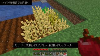 ４ 小麦増産と動物の繁殖について マインクラフト 初心者の館