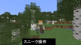 補足２ 行商人について 序盤でもリードが手に入る マインクラフト 初心者の館