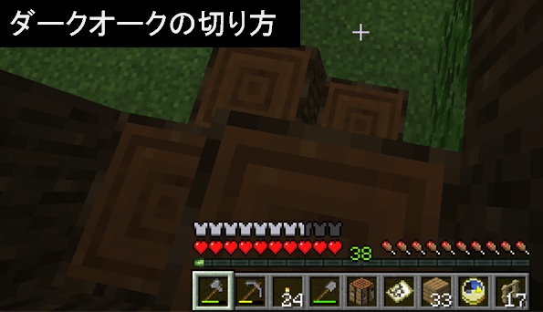 １ 村の探し方 マインクラフト 初心者の館